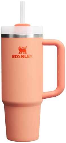 Stanley Quencher H2.0 FlowState Stainless Steel Vacuum Insulated Tumbler with Lid and Straw for Water, Iced Tea or Coffee